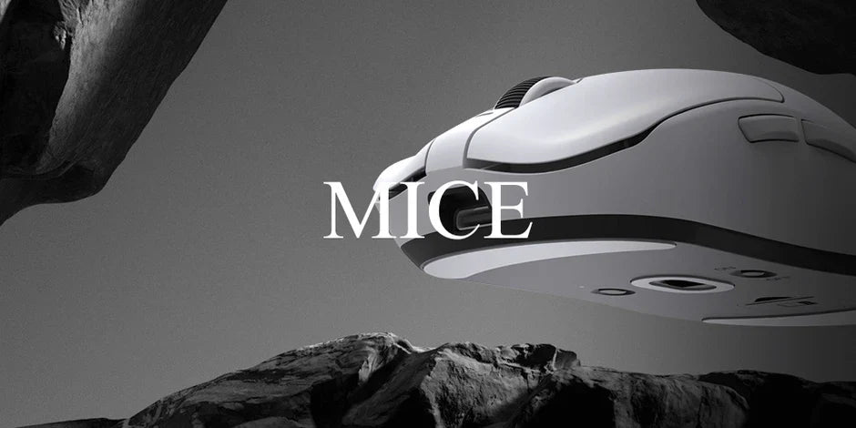 Mouse